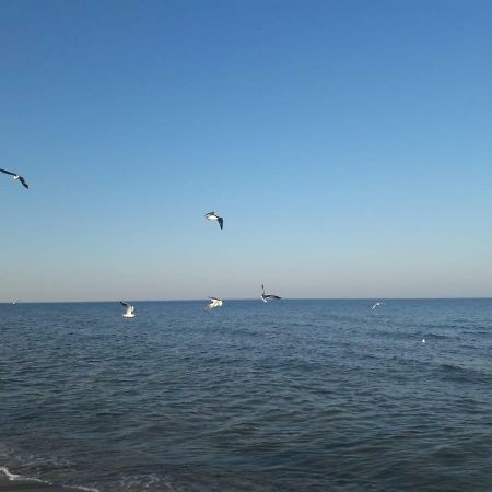 Küstenwilla FeWo Usedom Zinnowitz Exterior foto
