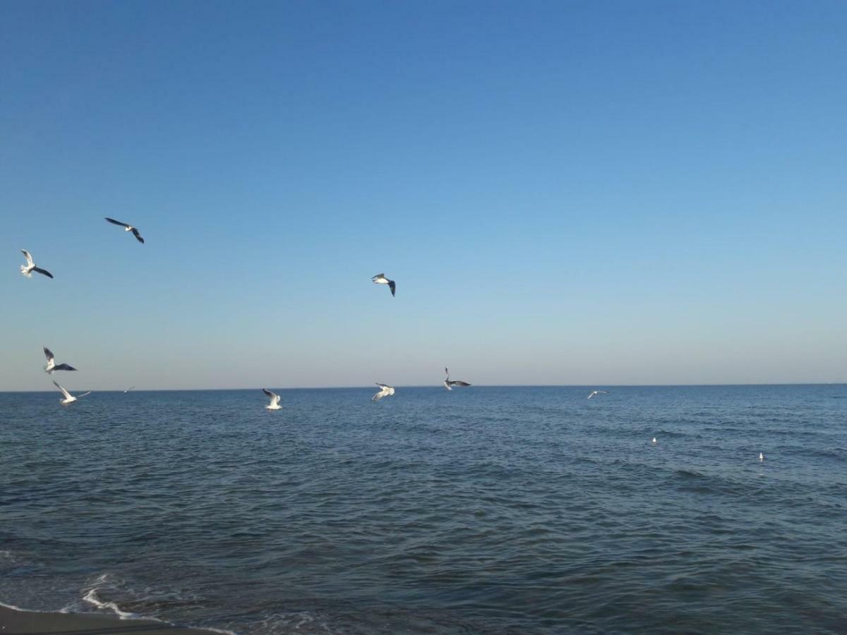 Küstenwilla FeWo Usedom Zinnowitz Exterior foto
